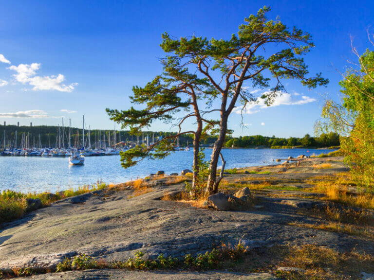 Hamn med utsikt