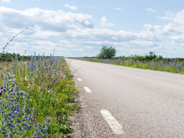 Väg med blommor